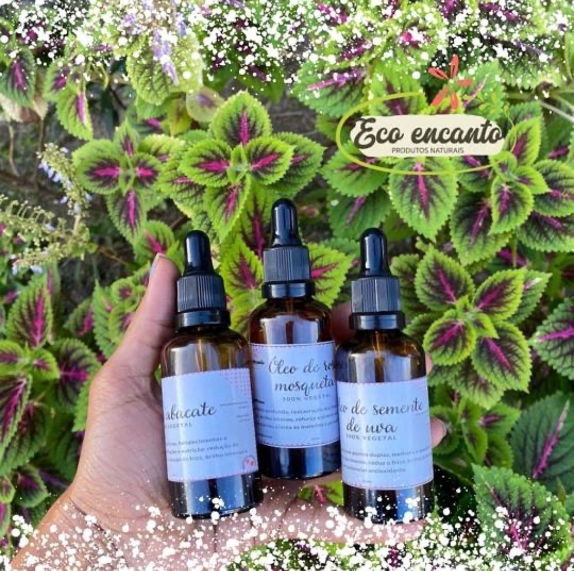 Óleos Vegetais Naturais e Blends Eco Encanto